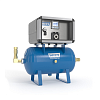 Газовый смеситель WITT KM20-100-2ME для двух газов